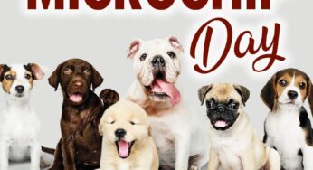 Gaeta, il 3 aprile “Microchip Day”
