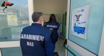 Nas, chiusi 2 ambulatori veterinari per gravi carenze igieniche