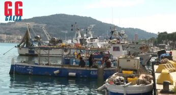 Pescatori in sciopero contro il caro gasolio (VIDEO)