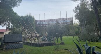 A spasso nel Golfo e oltre: “Piana delle Orme”
