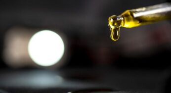 È legale acquistare i semi di marijuana? Ecco cosa dice la legge