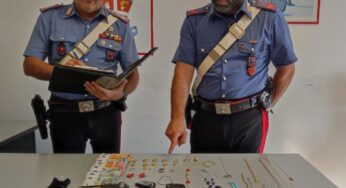 In fuga dopo un furto, non si ferma all’alt dei Carabinieri e finisce fuori strada dopo inseguimento