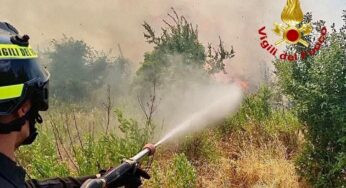 Incendi, diversi roghi in tutta la provincia pontina