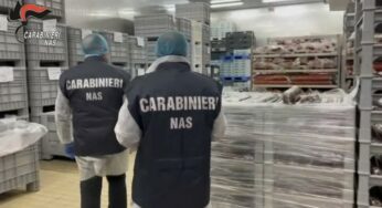 Controlli dei NAS, chiusi due locali per gravi carenze igienico sanitarie