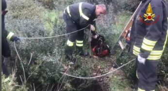 Cane cade in un pozzo romano, salvato dai Vigili del Fuoco
