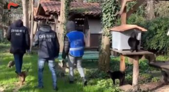 Vasta operazione NAS di controllo di canili e gattili