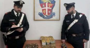 Ponza, sequestrate 571 cartucce da caccia