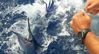 Big Fish Tournament 2023, tutto pronto per la 16° edizione