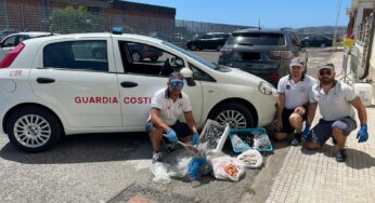 Guardia Costiera, controlli sulla commercializzazione di prodotti ittici: sequestri e sanzioni