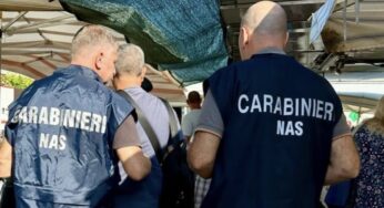 Nas, controlli nei mercati: sequestrati 2,5 quintali di alimenti vari