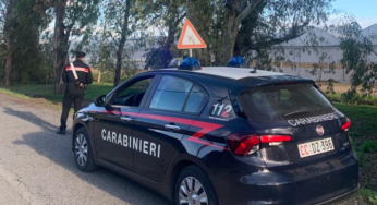 Auto si schianta contro un albero, morto 21enne