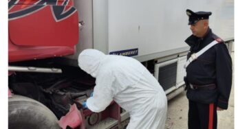 Ordigno sulla motrice di un camion. Indagini in corso dei Carabinieri