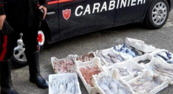 Nas sequestrano 30 kg di prodotti ittici senza tracciabilità