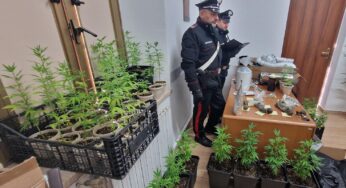 Sorpreso con la droga minaccia il suicidio con le forbici, arrestato