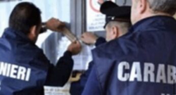 Irregolarità in un allevamento di anguille, 15mila euro e sequestro
