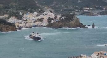 Fermata dalla Capitaneria di Porto la Quirino