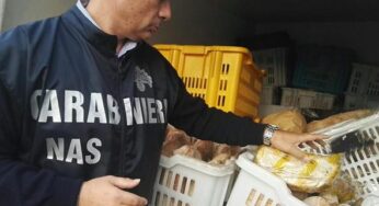 Controlli dei NAS nel sud Pontino, sospeso un panificio
