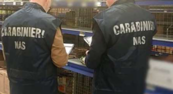 Sigarette elettroniche irregolari vendute a minori, sequestri e sanzione dei NAS