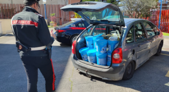 Fuggono all’alt dei Carabinieri, inseguiti per 25km: arrestati madre e figlio