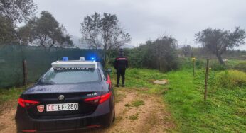 Incendio in campagna, distrutto magazzino