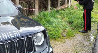 Perde il controllo dell’auto e si schianta contro un muretto