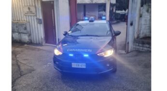 Ruba un pappagallo, denunciato 70enne
