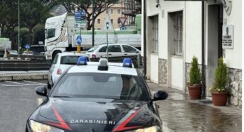 Produzione, traffico e detenzione illeciti di sostanze stupefacenti e concorso in reato