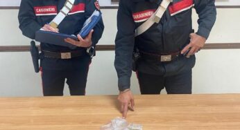 Detenzione ai fini di spaccio di sostanza stupefacente e detenzione abusiva di armi