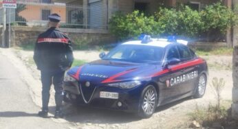 Viene aggredito dal cane mentre fa una consegna, denunciato il proprietario