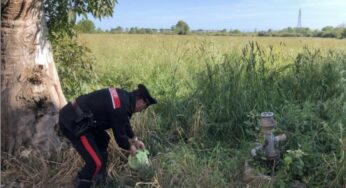Operazione antidroga dei Carabinieri, tre arresti