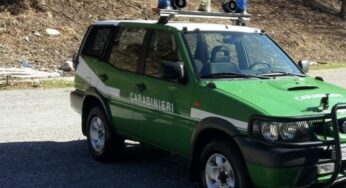 Incendio a Itri, denunciato un piromane