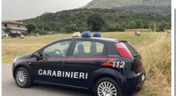 Furto in un frantoio, rubati 400 lt di olio e attrezzi