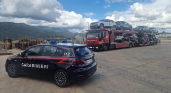 Cade dalla bisarca, elitrasportato a Roma