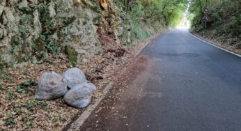 Abbandona in strada sacchi con residui di potatura, denunciato 56enne