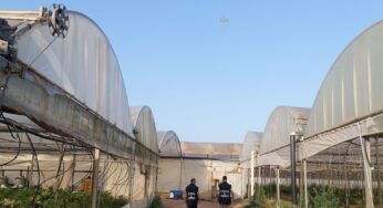 Sfruttamento di lavoratori nel settore agricolo, individuati 15 lavoratori in nero e irregolari