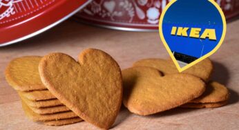 Ma quanto sono buoni i biscotti dell’Ikea? Oggi i Pepparkakor li facciamo in casa, sono facili