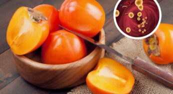 Colesterolo, i cachi si possono mangiare o no? Come stanno le cose