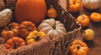Come capire se la zucca è andata a male: non farti più fregare
