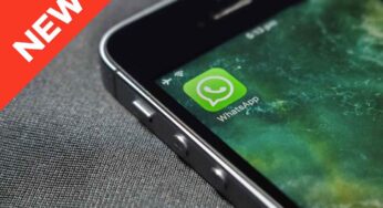 WhatsApp, vedrai queste nuove icone in chat e nei gruppi: a cosa serviranno