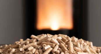 Sbagliavo sempre la scelta del pellet: adesso so a cosa fare attenzione ed è tutta un’altra storia
