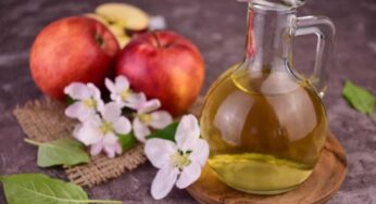 Perché l’aceto di mele apporta più rischi che benefici
