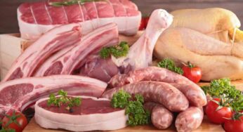È la carne con più alto contenuto di proteine e aiuta a rafforzare il sistema immunitario