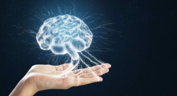 Nutrizionista svela i tre alimenti che sono veleno per il tuo cervello