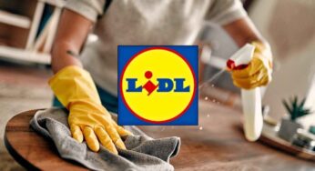 Addio sporco negli angoli più difficili o in posti inarrivabili: LIDL ti risolve il problema con 19,99 Euro