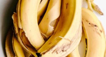 Bucce di banana? Guarda come le riciclo in 4 modi fenomenali e utilissimi evitando gli sprechi