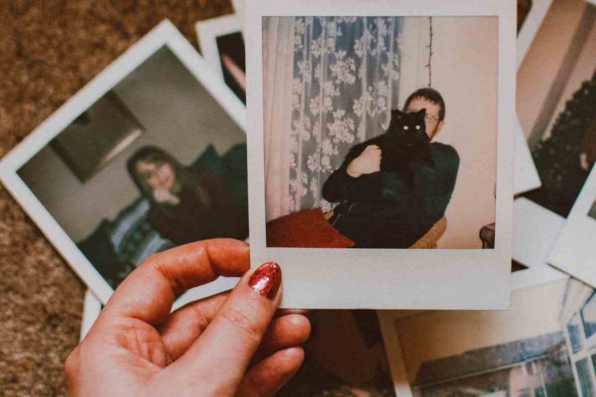 polaroid
