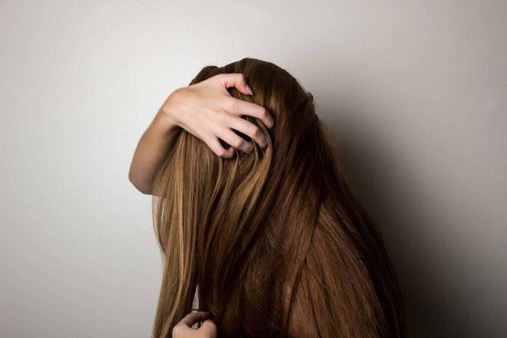 capelli castani