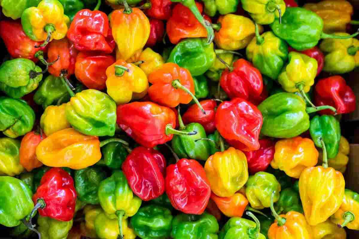 peperoni verdi gialli rossi