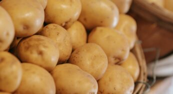 3 segreti per cucinare il gateau di patate migliore mai mangiato: acquolina in bocca già solo a vederlo
