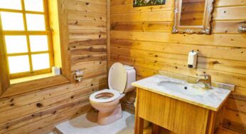 Li butti spesso nel WC ed è il motivo per cui si intasa, ecco 3 oggetti da gettare altrove